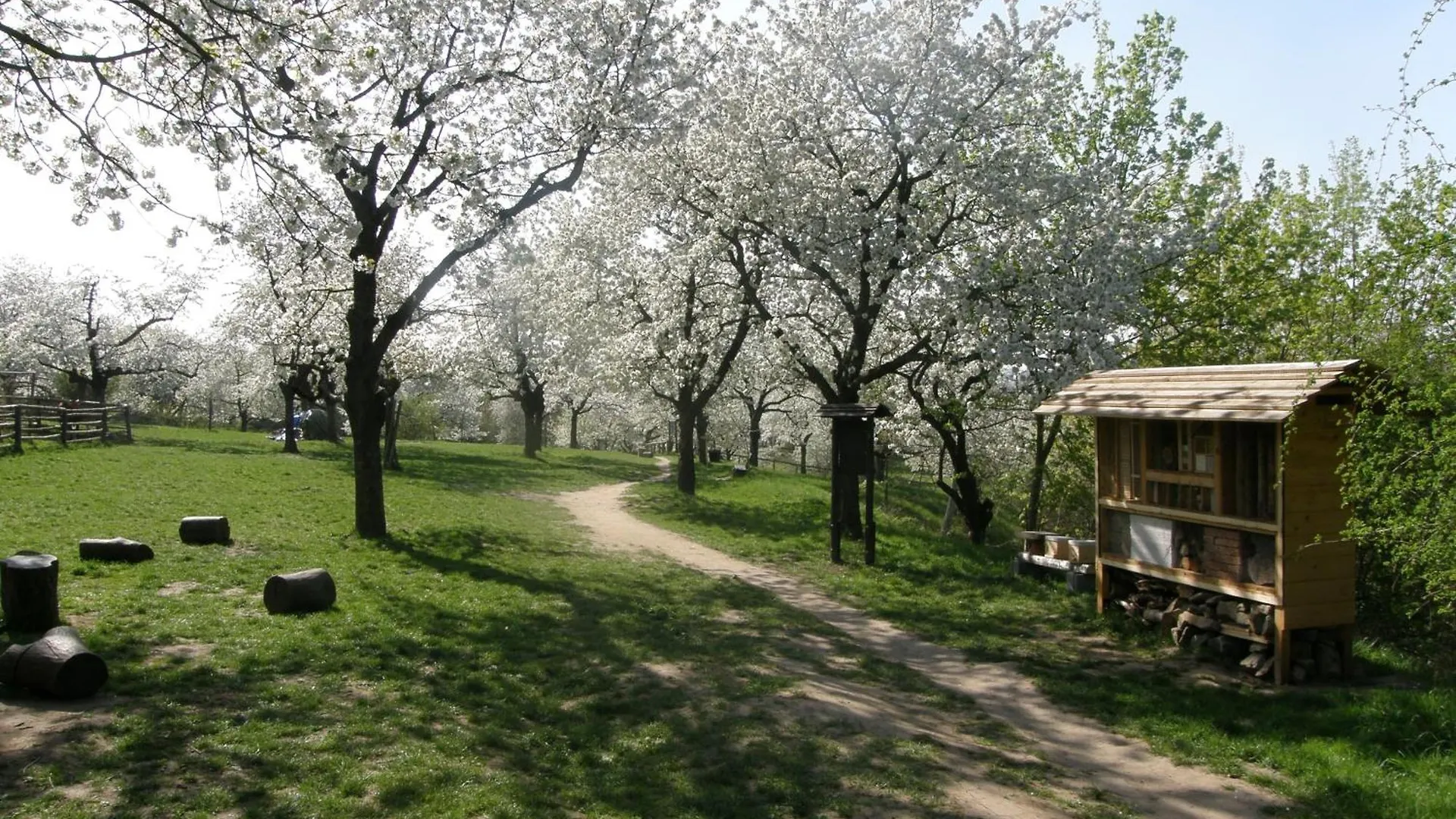 Hostel Ubytovna Toulcuv Dvur Prague